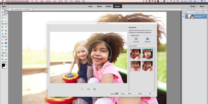 Adobe Photoshop Elements 2018